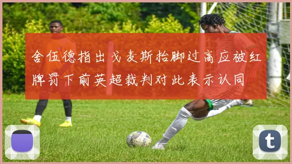 舍伍德指出戈麦斯抬脚过高应被红牌罚下前英超裁判对此表示认同