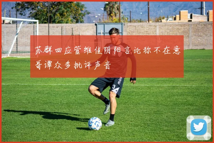 苏群回应管维佳阴阳言论称不在意哥谭众多批评声音