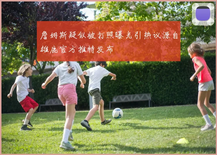 詹姆斯疑似被打照曝光引热议源自雄鹿官方推特发布